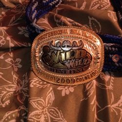 Professional Bull Riders 