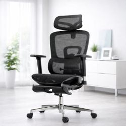 HBADA E2 Ergonomic Office Chair – Adjustable Lumbar Support & 3D Armrests