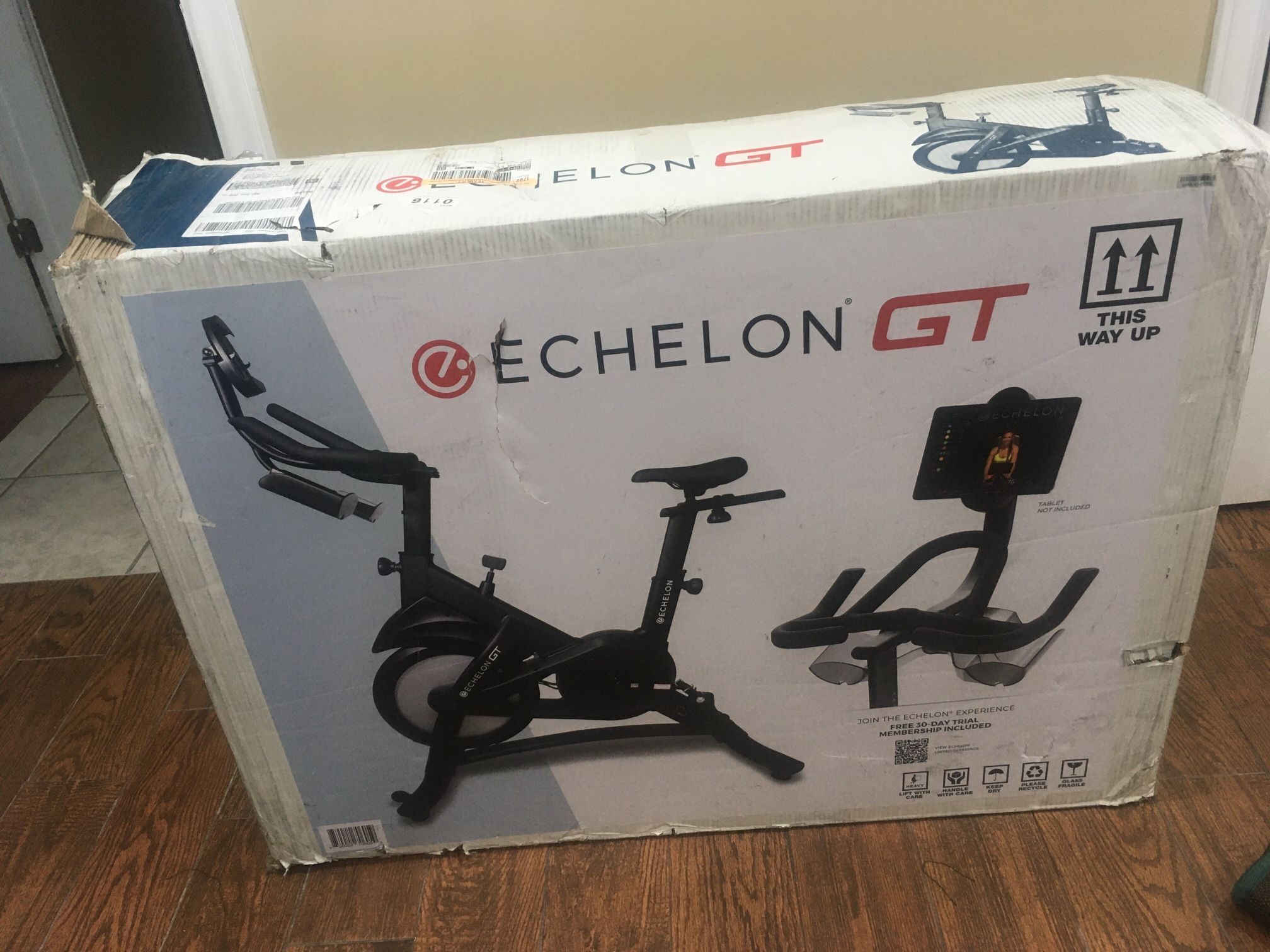 Echelon GT (Brand New In A Box)