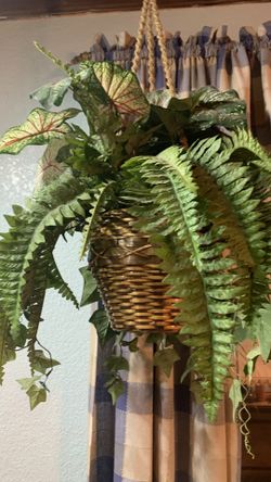 Hanging with Plastic Planter