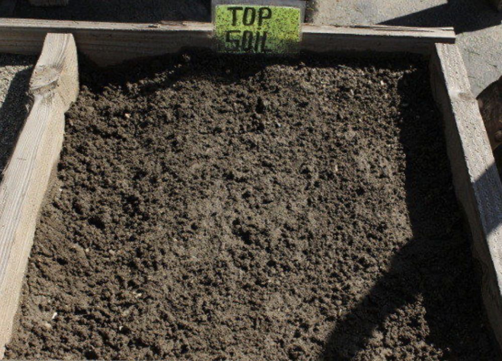 Top Soil 69a For Succulents And Plants 