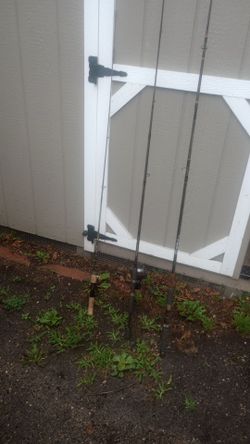 Fishing poles as seen