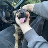 Chloe 🥳