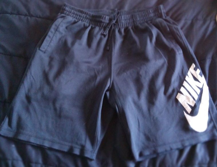Nike Sb Shorts