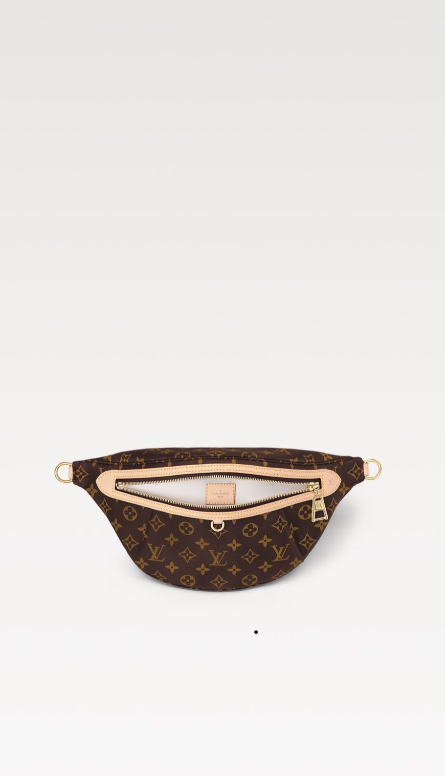 Louis Vuitton Monogram High Rise BumBag