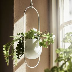Hanging Planter