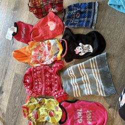 Dog Outfits 