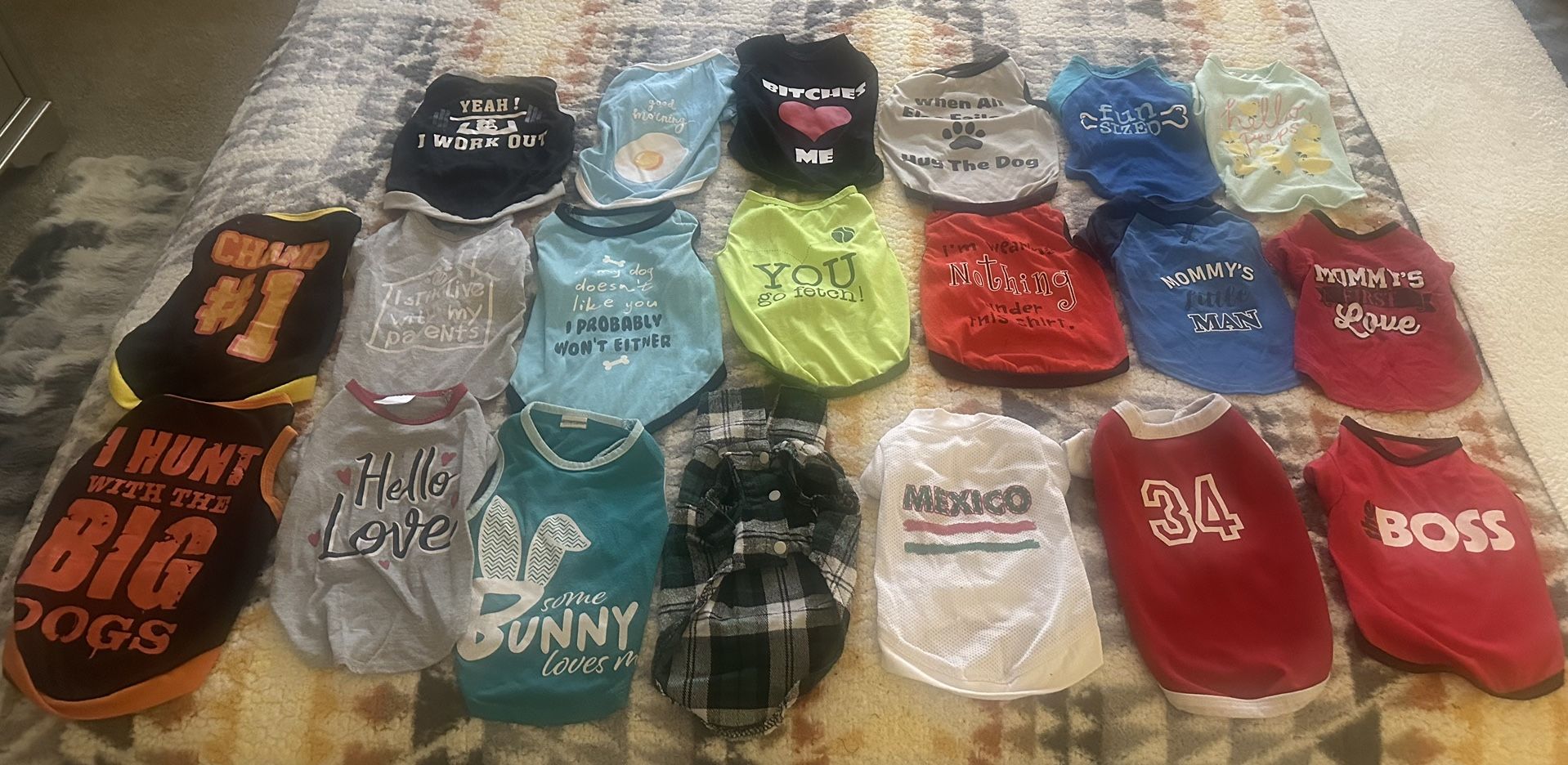 Little Chihuahua Clothes