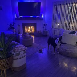 65” Samsung TV with govee backlight 