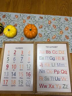The Alphabet and Numbers Wall Decor