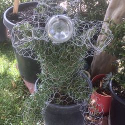 regallo! Bueno! Borracho. Hombre hispanic con cerveza y sombrero. Divertido ! Planta naturel Topiary