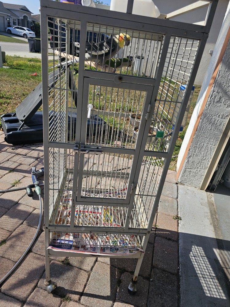 Bird Cage