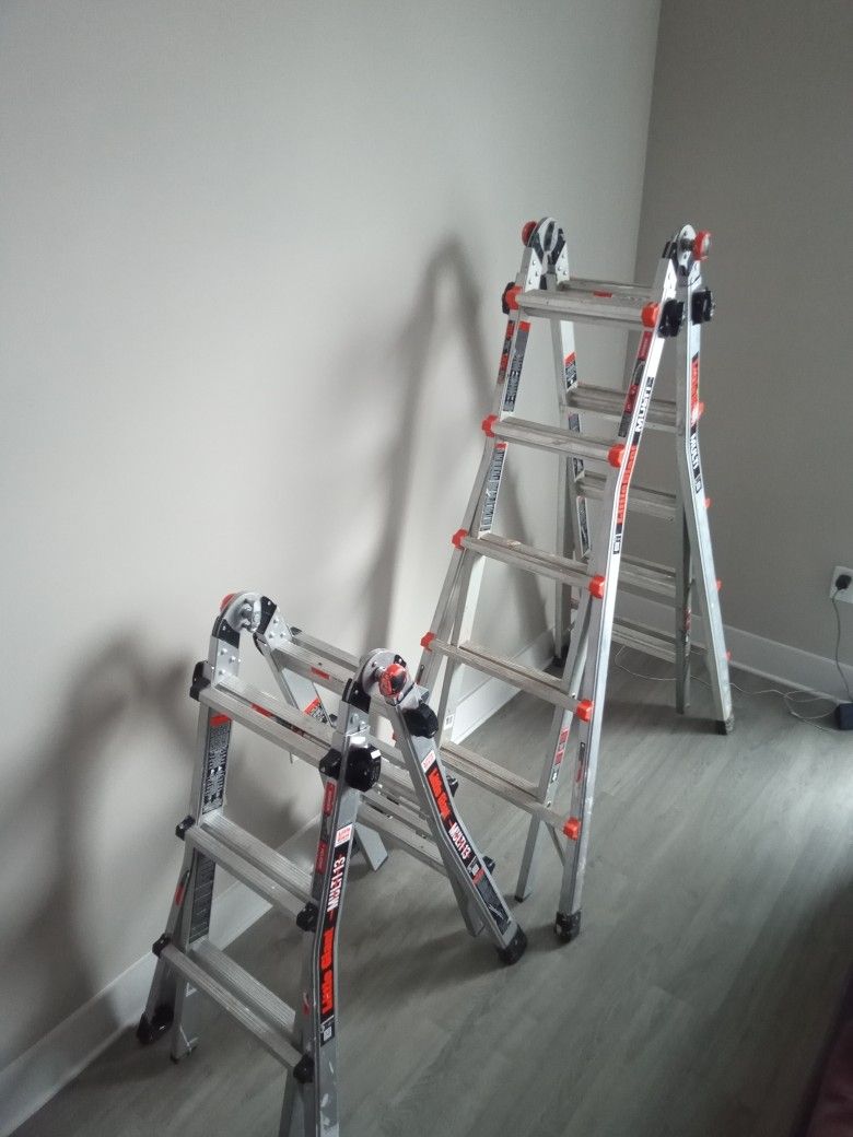2 Little Giant Ladder