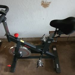 Sunny Exercise Bike