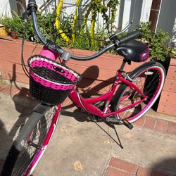 Hot Pink Adult Bike