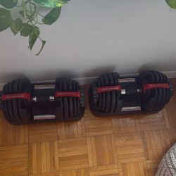 Bowlflex Weights 