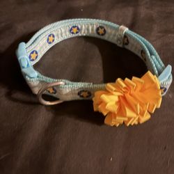 Size L pet collar