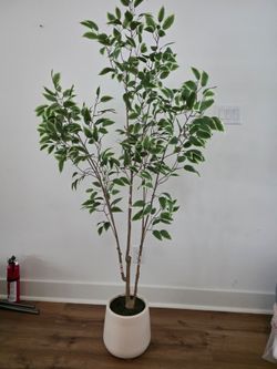 Artificial plants