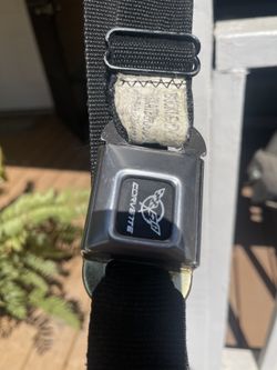 Corvette Belt
