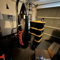 Everlast Punching Bag With Stand