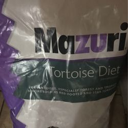 Tortoise/Sulcata Hatchings Message  me For Info..