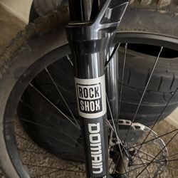 RockShox domain Gold 170mm