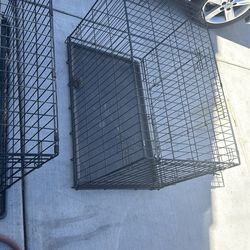 dog cages