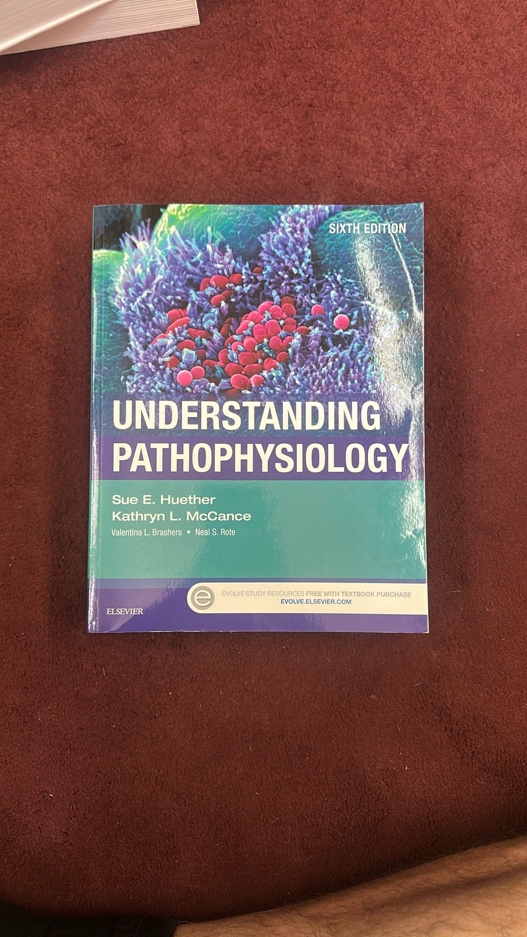 Understanding Pathophysiology (6th Edition)