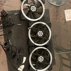 RGB FANS 