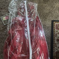 Wine Colored Quinceanera Dress