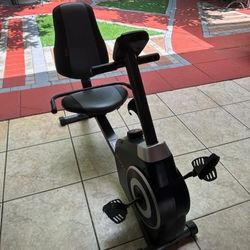 Weslo Bicycle Workout Machine (Perfect Condition + Maintained)