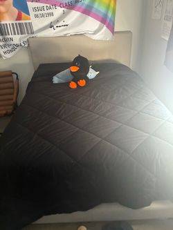 Very comfortable lightly used Tan Queen bed and bed frame