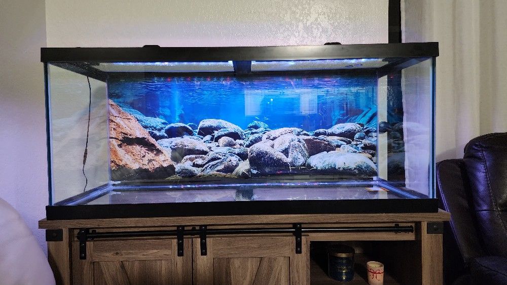 75 Gallon  Fish Tank  And Stand