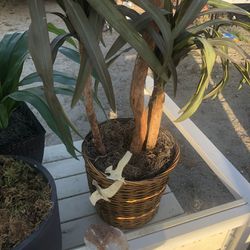 Tall Fake Decor Plant