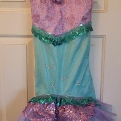 Little Mermaid costume