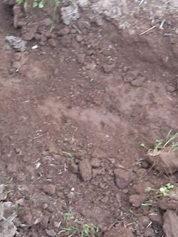 Free Dirt Tierra Gratis