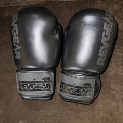 Boxing Gloves  Size 10 And 16 Oz 