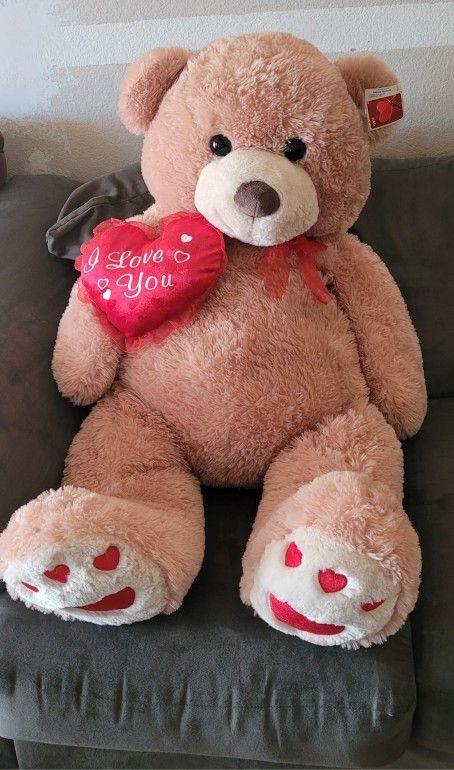 Big Teddy Bear