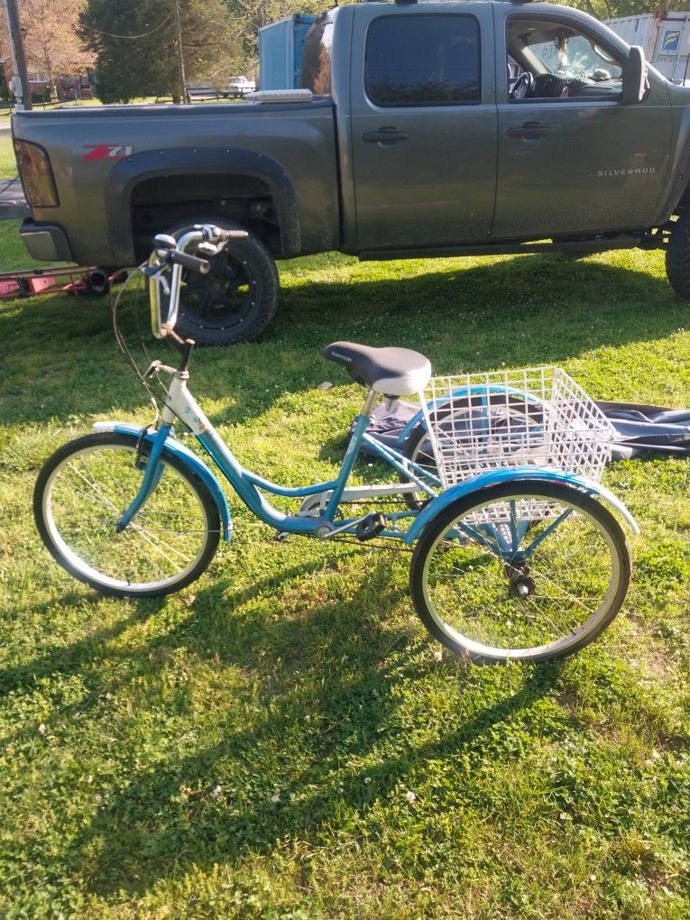 Komodo Adult Tricycle