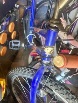 Bikes! 2 kids bikes 2 adult mountain bikes