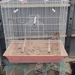 Bird Cages