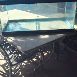 40 gallon aquarium
