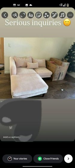 Brand New Blush Couches