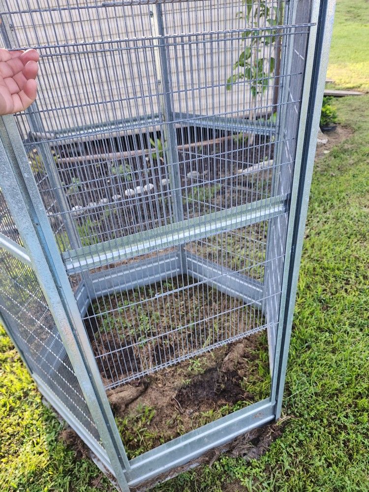 Bird Cage