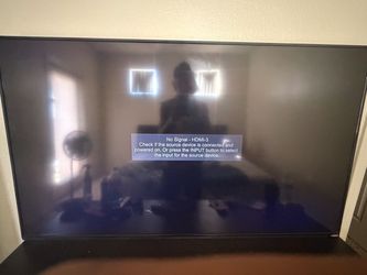 Vizio Flat Screen TV (60”)