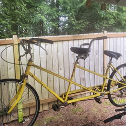 Schwinn Tandem Bike
