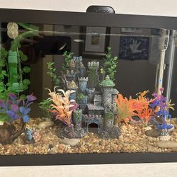 Fish tank decor and Gravel From Cycled Tank *tank Not Included*