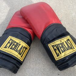 Everlast Weighted Boxing gloves