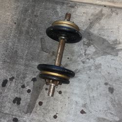 Curl Bar With Weights ( Read Description ) 
