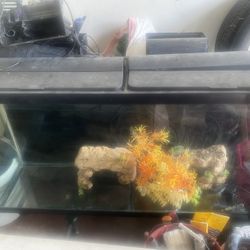 55 Gallon 